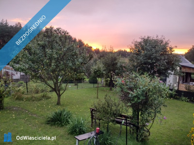 Działka ROD z domkiem 2026  Aleksandrów Kujawski rower - Aleksandrów Kujawski  -
kujawsko-pomorskie Zdjęcie nr 9