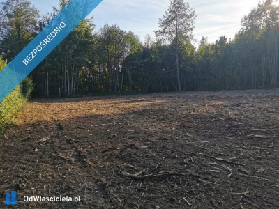 Działka budowlana Kalina Górecka - Kalina Górecka  -
świętokrzyskie Zdjęcie nr 5