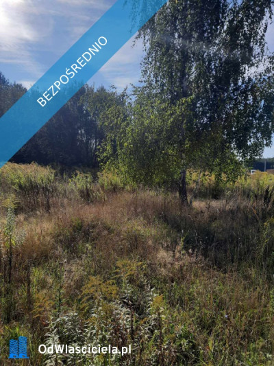 Ojrzanów działka budowlana bezpośrednio - Ojrzanów  - mazowieckie