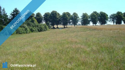 Działka budowlana nad jeziorem Słonowice  możliwość zabudowy 3 domów - Słonowice  -
zachodniopomorskie Zdjęcie nr 3