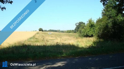 Działka budowlana nad jeziorem Słonowice  możliwość zabudowy 3 domów - Słonowice  -
zachodniopomorskie Zdjęcie nr 6