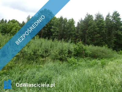 Syndyk sprzeda udziały 316 oraz 316 - Sadek - 20 - Sadek  -
mazowieckie Zdjęcie nr 3