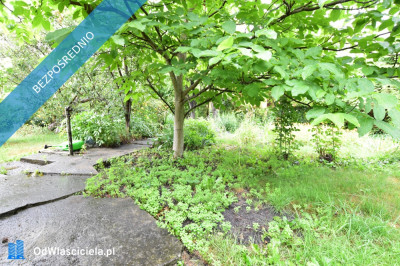 Działka rekreacyjna ROD RAi z domkiem - Targówek  -
mazowieckie Zdjęcie nr 12