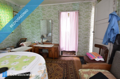 Działka rekreacyjna ROD RAi z domkiem - Targówek  -
mazowieckie Zdjęcie nr 6