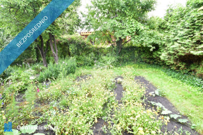 Działka rekreacyjna ROD RAi z domkiem - Targówek  -
mazowieckie Zdjęcie nr 8