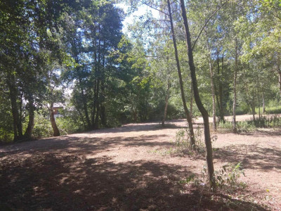 Duża działka w otulinie Kampinosu Dąbrowa  gm Łomianki - Łomianki Dolne  -
mazowieckie Zdjęcie nr 11