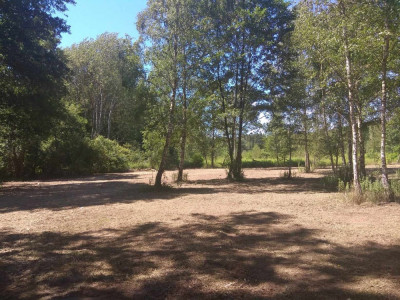 Duża działka w otulinie Kampinosu Dąbrowa  gm Łomianki - Łomianki Dolne  - mazowieckie