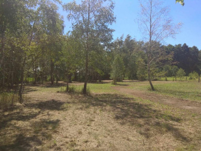 Duża działka w otulinie Kampinosu Dąbrowa  gm Łomianki - Łomianki Dolne  -
mazowieckie Zdjęcie nr 4