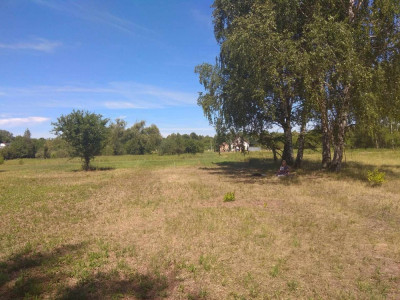 Duża działka w otulinie Kampinosu Dąbrowa  gm Łomianki - Łomianki Dolne  -
mazowieckie Zdjęcie nr 6