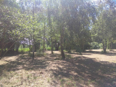 Duża działka w otulinie Kampinosu Dąbrowa  gm Łomianki - Łomianki Dolne  -
mazowieckie Zdjęcie nr 8