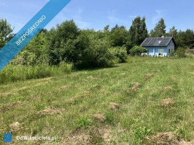 Urokliwa działka Żółwin ul Południowa - Żółwin  -
mazowieckie Zdjęcie nr 8