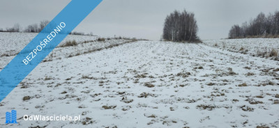 Sprzedam działkę rolną 5800 m  Garlica Murowana gm Zielonki - Garlica Murowana  - małopolskie