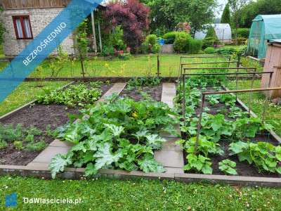 Działka ROD Mickiewicza - Mickiewicza  -
podlaskie Zdjęcie nr 11