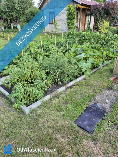 Działka ROD Mickiewicza - Mickiewicza  -
podlaskie Zdjęcie nr 13