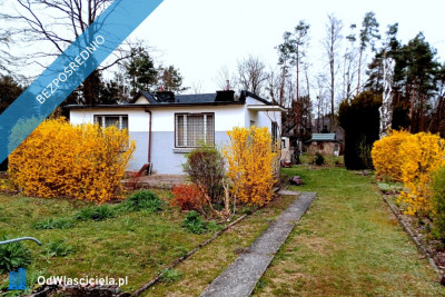 Budowlana działka z domem 1948 m2 Radom - Rajec Poduchowny - Rajec Poduchowny  -
mazowieckie Zdjęcie nr 5