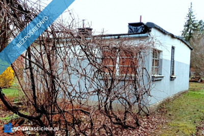 Budowlana działka z domem 1948 m2 Radom - Rajec Poduchowny - Rajec Poduchowny  -
mazowieckie Zdjęcie nr 6