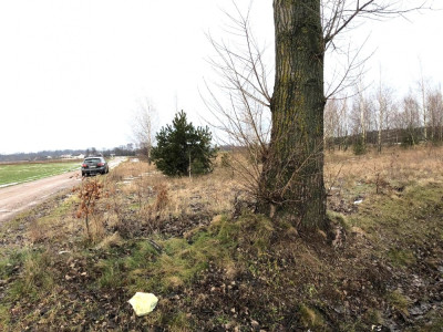 Na sprzedaż działka rolna  70 km od Warszawy  - Boguszków  -
mazowieckie Zdjęcie nr 6