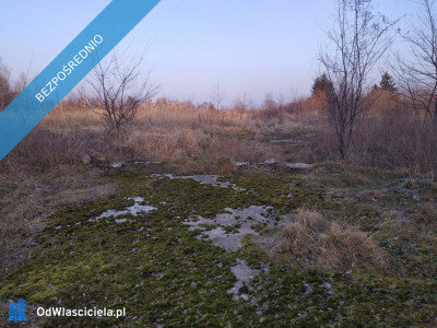 Nieruchomość na sprzedaż - Kamiennik  -
opolskie Zdjęcie nr 4