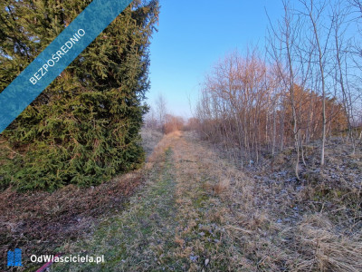 Nieruchomość na sprzedaż - Kamiennik  -
opolskie Zdjęcie nr 5