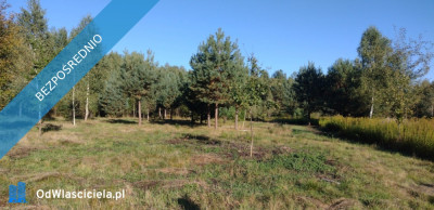 NOWA POGORZEL  MIŃSK MAZOWIECKI DZIAŁKA 1305 M2 - Nowa Pogorzel  -
mazowieckie Zdjęcie nr 2