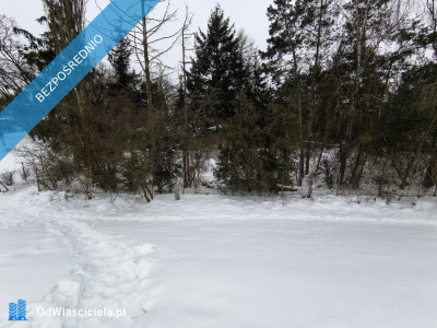 Nieruchomość nad Wisłą - Stare Grochale  -
mazowieckie Zdjęcie nr 3