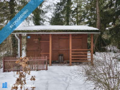 Nieruchomość nad Wisłą - Stare Grochale  -
mazowieckie Zdjęcie nr 5