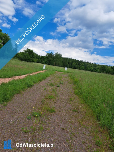 Widokowa uzbrojona MPZP działka  budowlana w Górach Sowich - Bartnica  -
dolnośląskie Zdjęcie nr 4