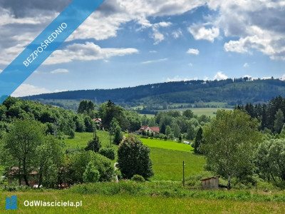 Widokowa uzbrojona MPZP działka  budowlana w Górach Sowich - Bartnica  -
dolnośląskie Zdjęcie nr 5