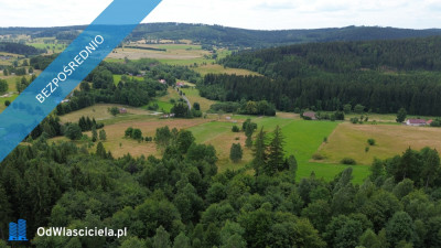 Widokowa uzbrojona MPZP działka  budowlana w Górach Sowich - Bartnica  -
dolnośląskie Zdjęcie nr 6