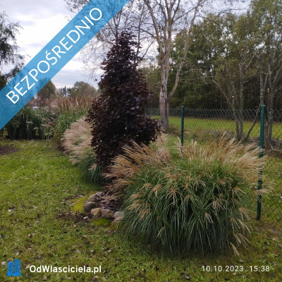 Zadbana działka na sprzedaż - Ostrowo  -
pomorskie Zdjęcie nr 10