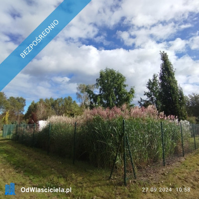 Zadbana działka na sprzedaż - Ostrowo  -
pomorskie Zdjęcie nr 11