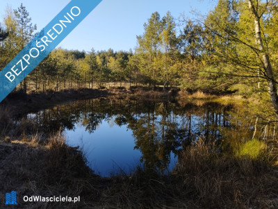 Zadbana działka na sprzedaż - Ostrowo  -
pomorskie Zdjęcie nr 15