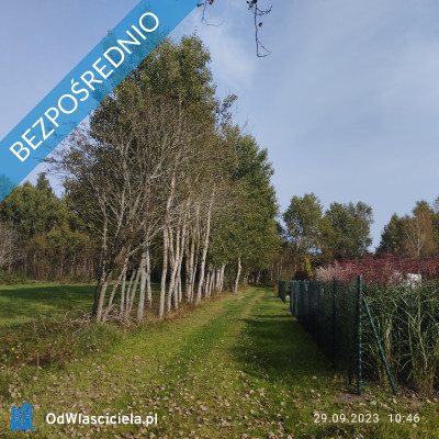 Zadbana działka na sprzedaż - Ostrowo  -
pomorskie Zdjęcie nr 17