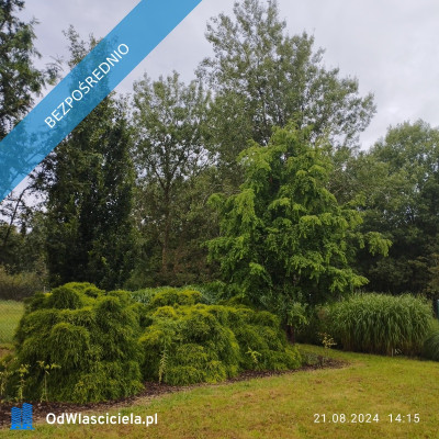 Zadbana działka na sprzedaż - Ostrowo  -
pomorskie Zdjęcie nr 3