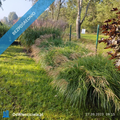 Zadbana działka na sprzedaż - Ostrowo  -
pomorskie Zdjęcie nr 8