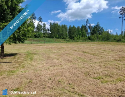 WIELORODZINNA działka Kudowa Zdrój pod pensjonaty 32 ary  - Kudowa-Zdrój  - dolnośląskie