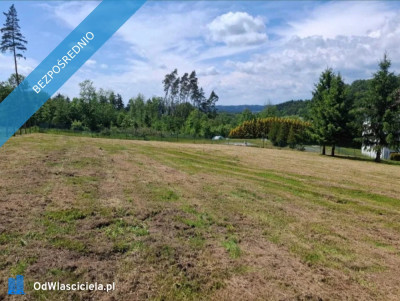 WIELORODZINNA działka Kudowa Zdrój pod pensjonaty 32 ary  - Kudowa-Zdrój  -
dolnośląskie Zdjęcie nr 5