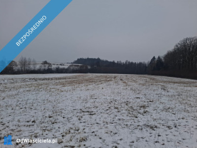 Piękne działki 30 arów w gorach - Gorzanów  -
dolnośląskie Zdjęcie nr 11