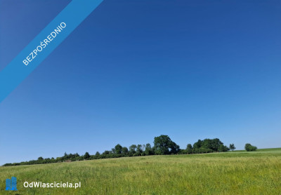 Piękne działki 30 arów w gorach - Gorzanów  -
dolnośląskie Zdjęcie nr 6