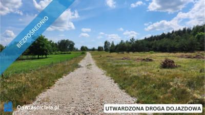 ZBOISKA KRADZIEJOWIC - DZIAŁKI BUDOWLANE PRZY LESIE ŚWIETNY DOJAZD S8 DO W-WY CENY OD 94 TYŚ ZŁ - Zboiska  -
mazowieckie Zdjęcie nr 2