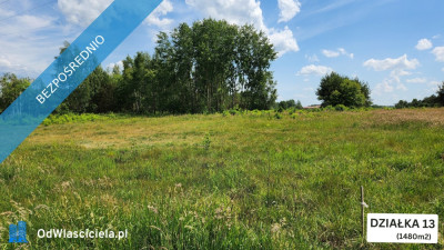ZBOISKA KRADZIEJOWIC - DZIAŁKI BUDOWLANE PRZY LESIE ŚWIETNY DOJAZD S8 DO W-WY CENY OD 94 TYŚ ZŁ - Zboiska  -
mazowieckie Zdjęcie nr 8