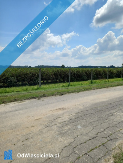 Sprzedam działkę rolno-budowlaną w okolicy Płońska - Płońsk  -
mazowieckie Zdjęcie nr 3