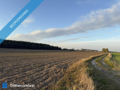 OFERTA SPRZEDAŻY LUB DŁUGOTERMINOWEJ DZIERŻAWY ŻWIROWNI  KOCHOWO II - Kochowo  -
wielkopolskie Zdjęcie nr 3