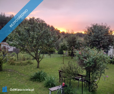 Działka ROD z domkiem 2026  Aleksandrów Kujawski - Aleksandrów Kujawski  -
kujawsko-pomorskie Zdjęcie nr 9