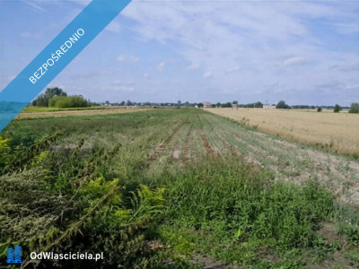 Wyjątkowa działka siedliskowa w spokojnej okolicy  15 762 m  Milęcin - Milęcin  -
mazowieckie Zdjęcie nr 2