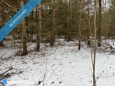 Działka budowlana w miejscowości Wola Pieczyska 1335m2 tylko 1h od Warszawy w spokojnym miejscu - Wola Pieczyska  -
mazowieckie Zdjęcie nr 6