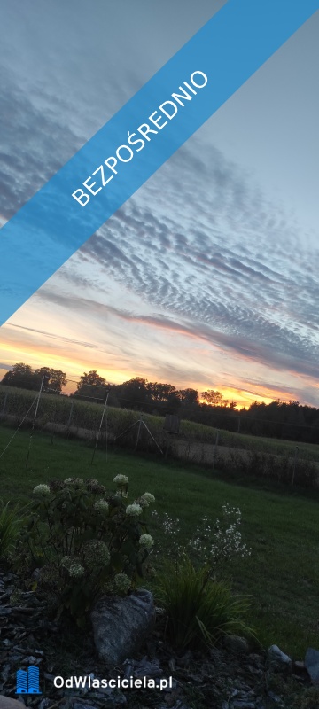  Wyjątkowa działka rekreacyjna blisko jeziora  Radzynek gm Brzuze  - Radzynek  -
kujawsko-pomorskie Zdjęcie nr 8