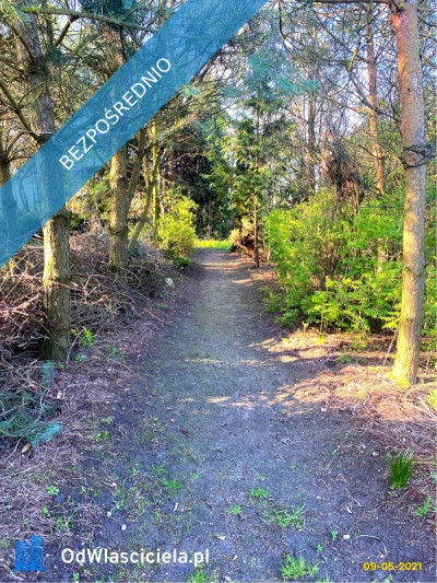 Działka 2111 m  Łódź Brzezińska 257  MPZP- pełne media - piękne otoczenie - Widzew  -
łódzkie Zdjęcie nr 3