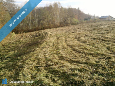 Działka budowlana 45a Dąbrówka Szczepanowska - Dąbrówka Szczepanowska  -
małopolskie Zdjęcie nr 7