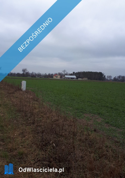 Sprzedam działki Kakawa Stara - Stara Kakawa  -
wielkopolskie Zdjęcie nr 3